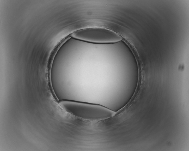 X0000111381072200907171216
