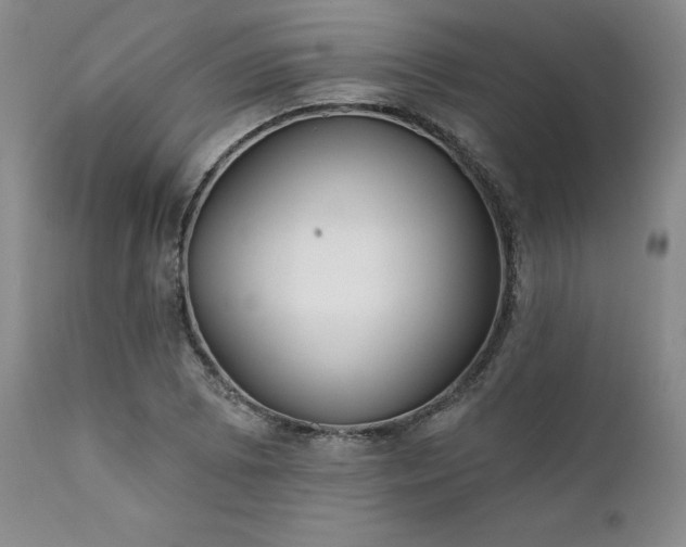 X0000111381073200907171216