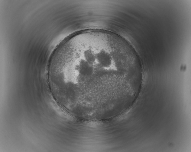 X0000111381074200907171216