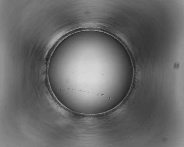 X0000111381075200907171216