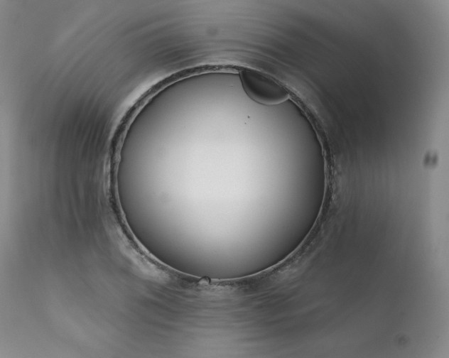 X0000111381076200907171216