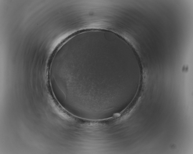 X0000111381077200907171216