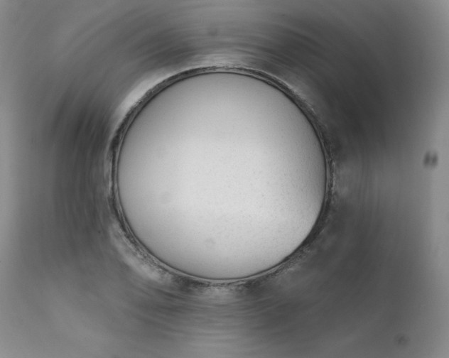 X0000111381078200907171216