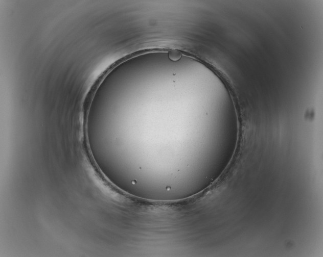 X0000111381079200907171216