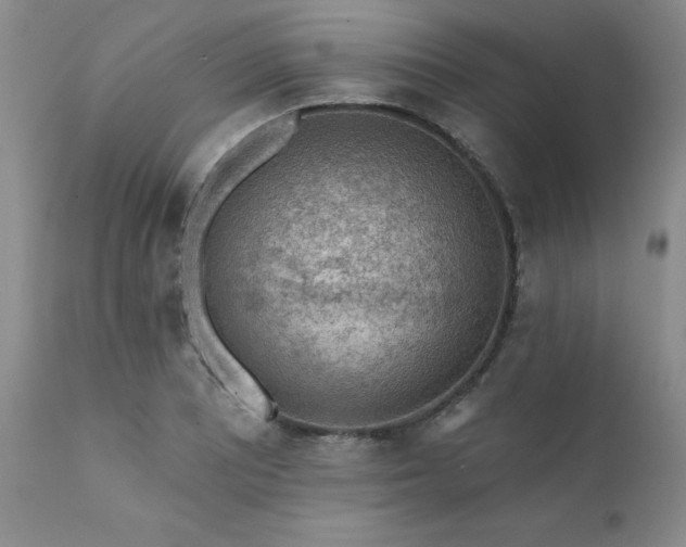 X0000111381081200907171216