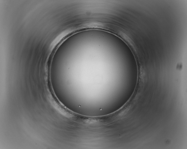 X0000111381082200907171216