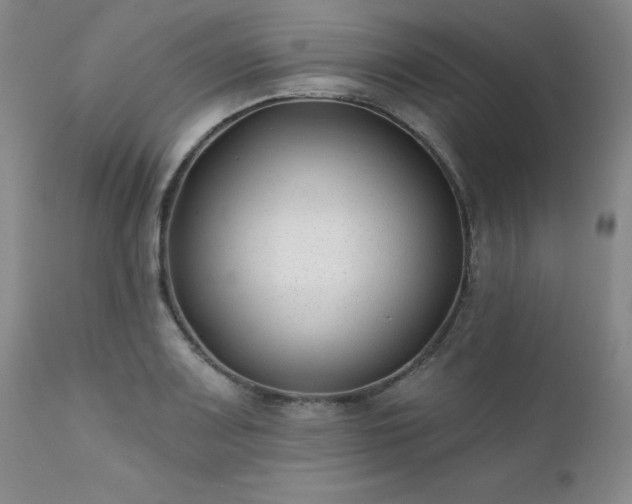 X0000111381083200907171216