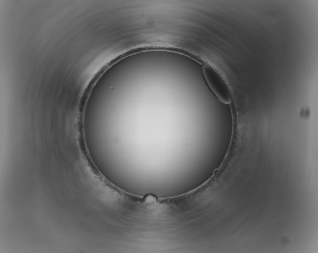 X0000111381085200907171216