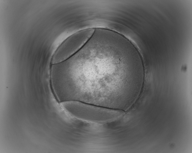 X0000111381088200907171216