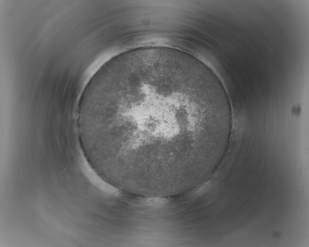 X0000111381090200907171216