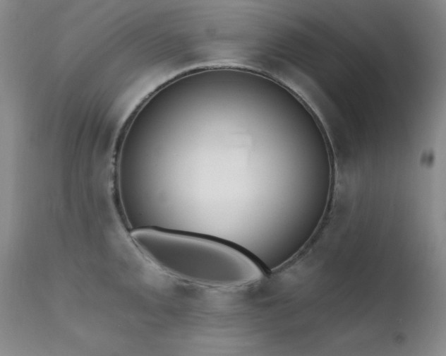 X0000111381093200907171216