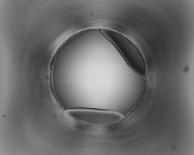 X0000111381096200907171216