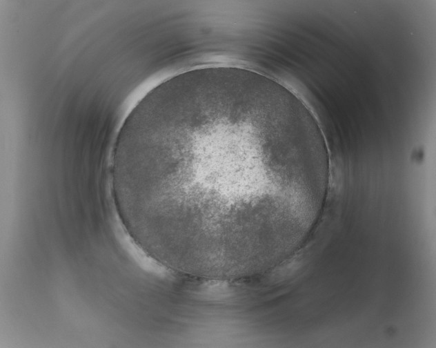 X0000111381098200907171216