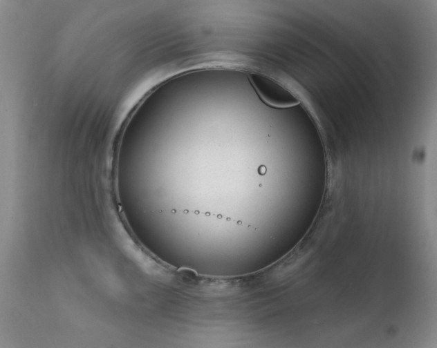 X0000111381099200907171216