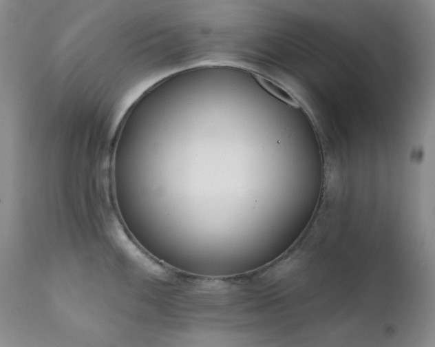 X0000111381100200907171216
