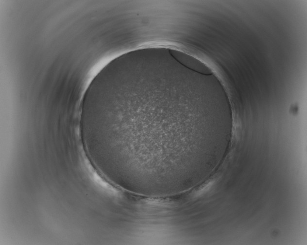 X0000111381102200907171216