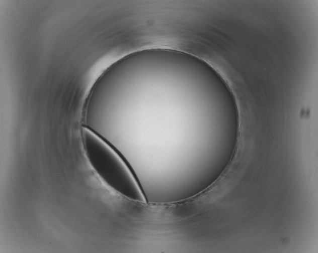 X0000111381104200907171216