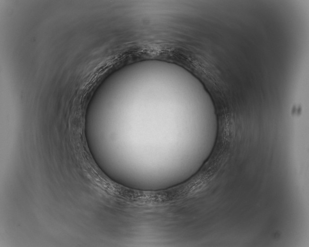 X0000111381105200907171215