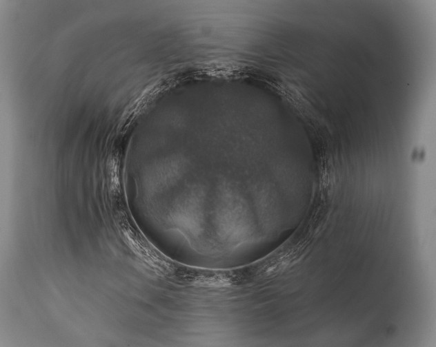 X0000111381106200907171215