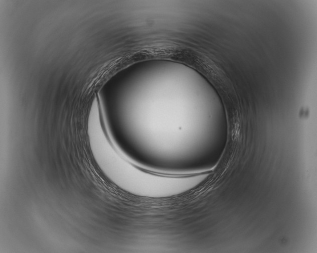 X0000111381108200907171215