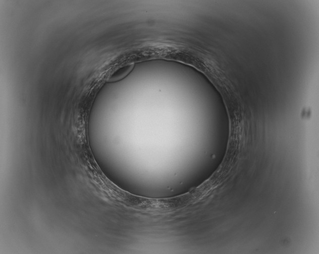 X0000111381109200907171215