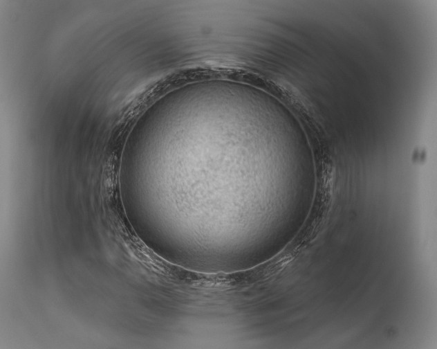 X0000111381110200907171215