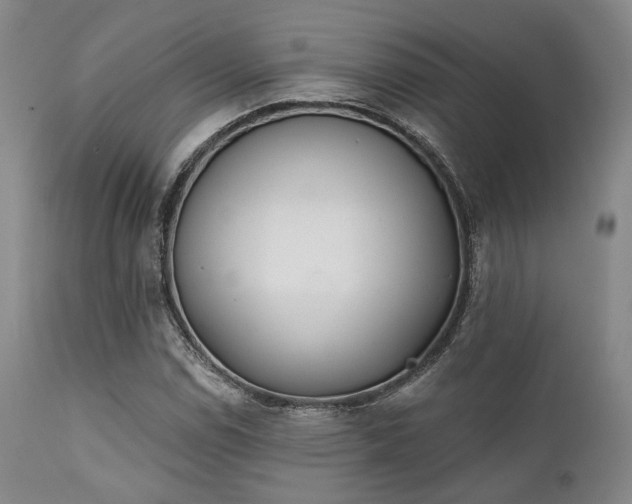 X0000111381114200907171215