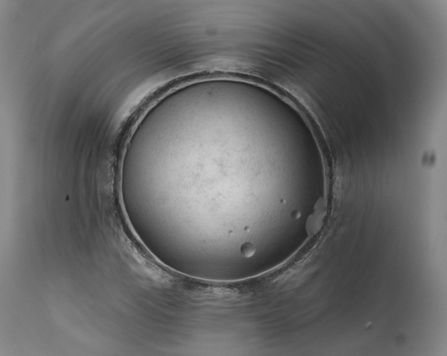 X0000111381115200907171215