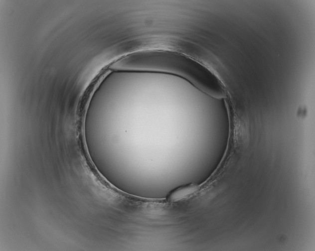 X0000111381116200907171215