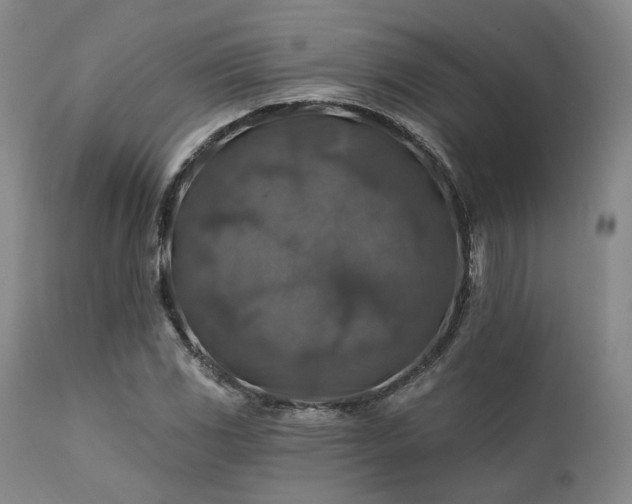 X0000111381117200907171215