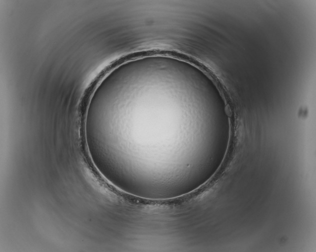 X0000111381118200907171215