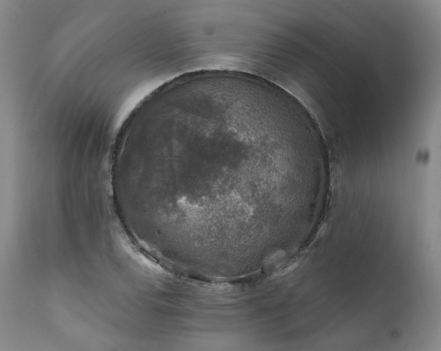 X0000111381120200907171216