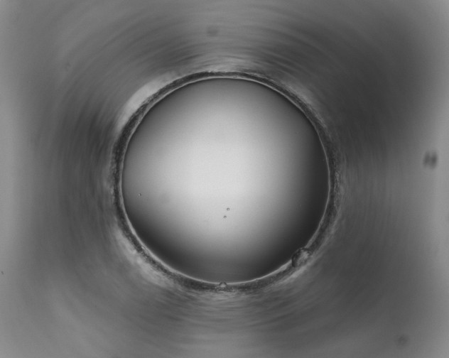 X0000111381122200907171216