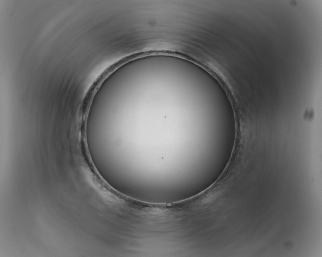 X0000111381124200907171216