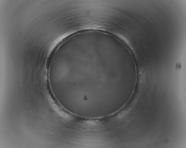 X0000111381125200907171216
