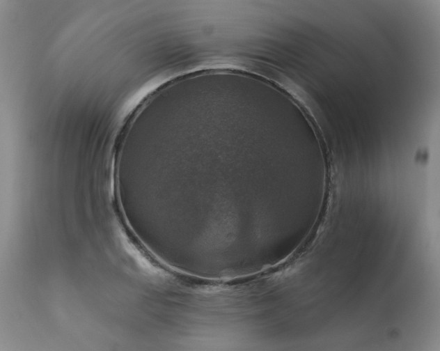 X0000111381127200907171216