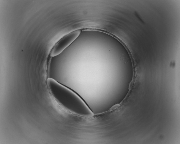 X0000111381128200907171216