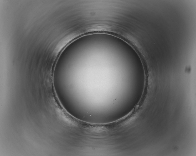 X0000111381129200907171216