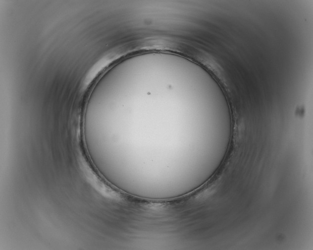 X0000111381130200907171216