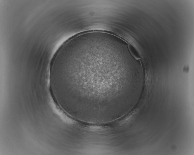 X0000111381132200907171216
