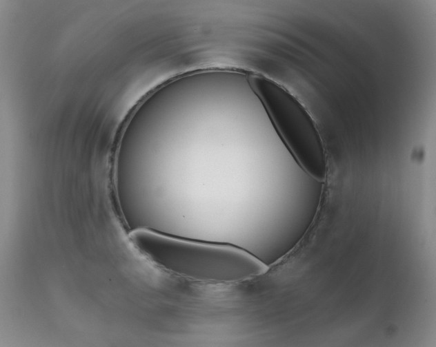 X0000111381134200907171216