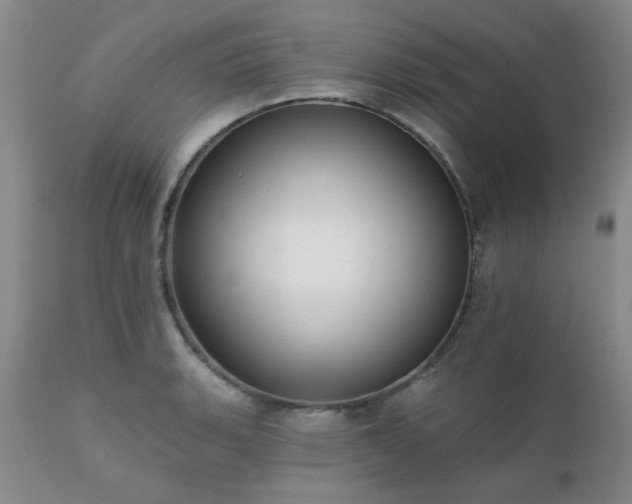 X0000111381135200907171216