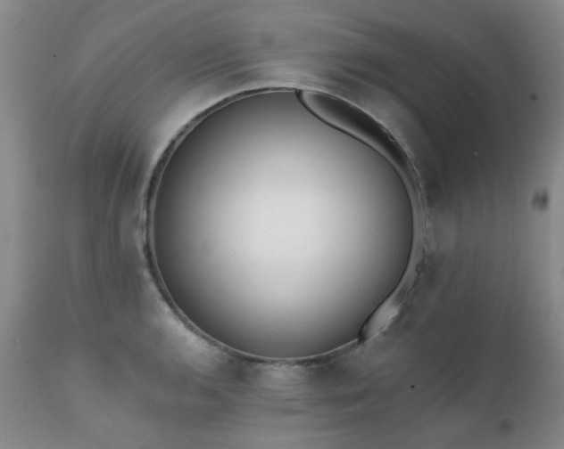 X0000111381136200907171216