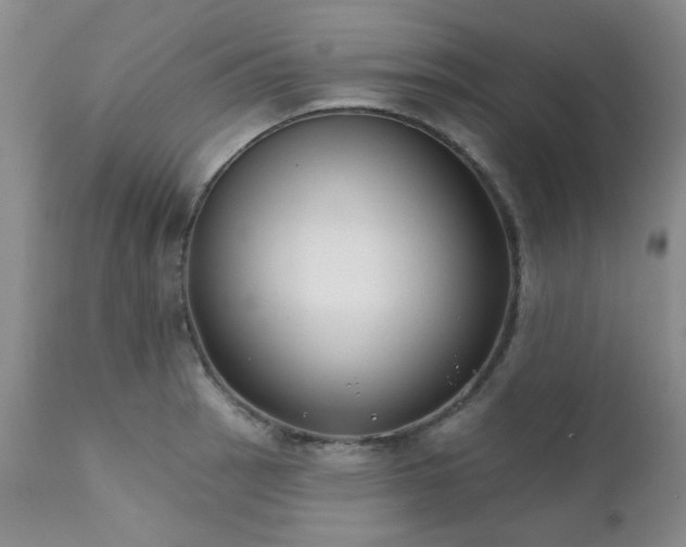 X0000111381137200907171216