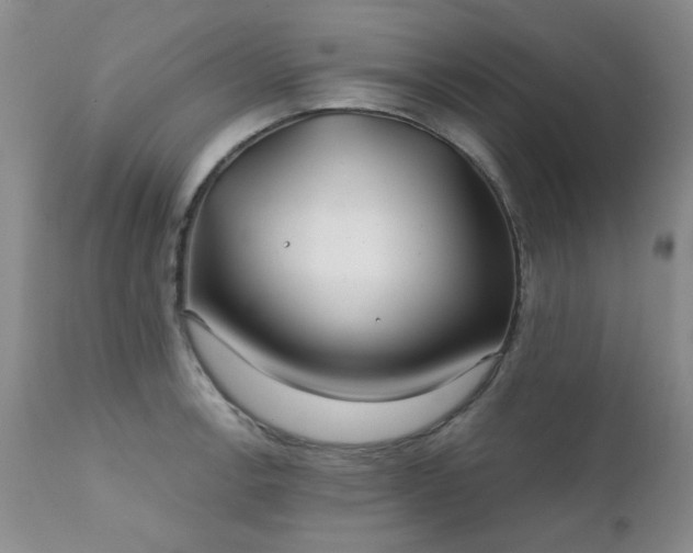 X0000111381138200907171216