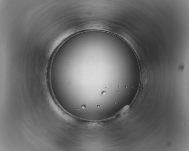 X0000111381139200907171216