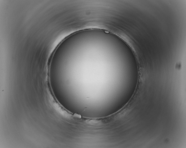 X0000111381140200907171216