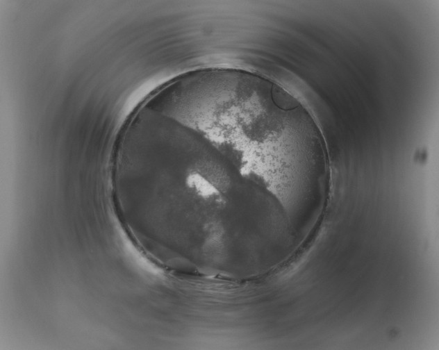 X0000111381141200907171216