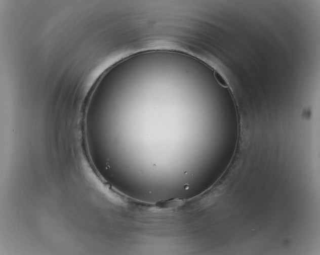 X0000111381142200907171216