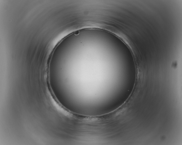 X0000111381143200907171216